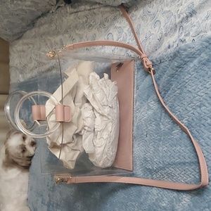 The perfect clear hand bag